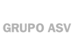 grupo asv